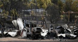 Despicable act is slammed as bushfires decimate  Victoria