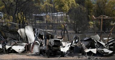 Despicable act is slammed as bushfires decimate  Victoria