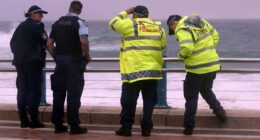 Devastating blow in search for young man at Sydney beach