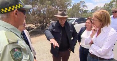 Anthony Albanese visited a bushfire-hit area in Victoria.