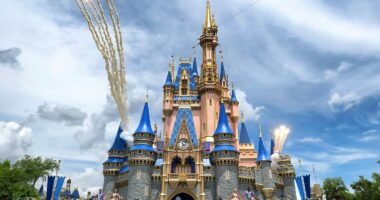 Disney World shuts down one of its parks due to freezing temperatures