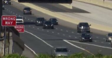 Do you have to move over for these cars on the highway? Here’s what Florida law says