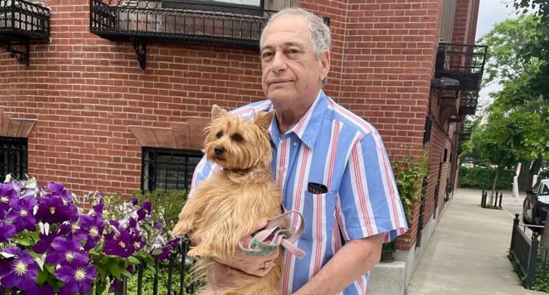 Dog hit after animal and millionaire owner were mown down