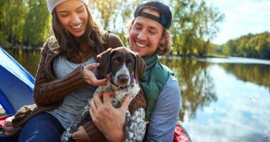 Dogs now outnumber children in one in three neighbourhoods