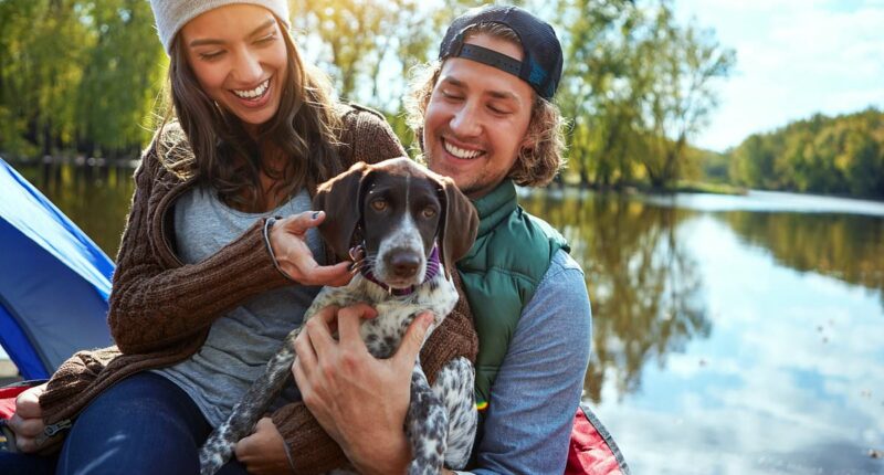 Dogs now outnumber children in one in three neighbourhoods