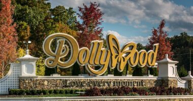 Dolly Parton theme park Dollywood quietly shuts down for months
