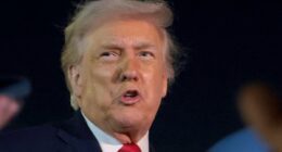 Donald Trump blasts Starmer for 'great stupidity' over Chagos islands