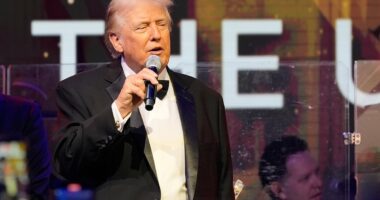 Donald Trump goes scorched earth on Minnesota's Somali fraud scandal