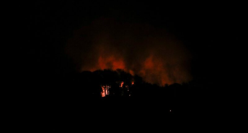 Donald Trump hails US capture of Venezuelan President Nicolas Maduro