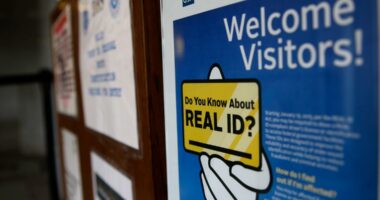 Don't have a REAL ID yet? TSA to charge $45 fee starting Sunday