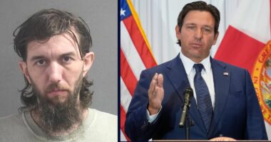 'Don't worry, you will die, pig': Man who vowed to kill Florida Gov. Ron DeSantis made himself very easy to find, cops say