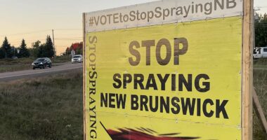 Dozens are dead and hundreds haunted by terrifying symptoms in Canada. Now, as officials abruptly drop their probe, TOM LEONARD asks: Are authorities covering up a deadly link to a household weedkiller?