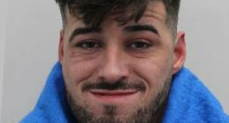 Driver, 32, who killed man in Christmas Day car rampage is jailed