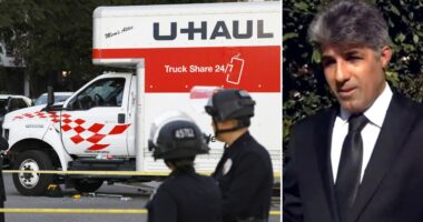 Driver of U-Haul truck that entered Iran protest crowd speaks out: 'All I want is peace'