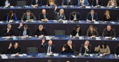 EU Commission indicates it's ready to implement Mercosur trade deal despite parliament vote to delay