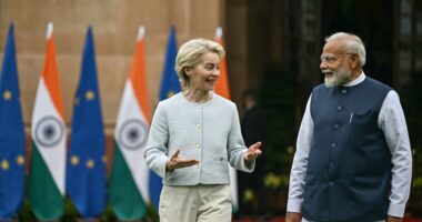 EU-India deal won't be a substitute to a U.S.-India pact