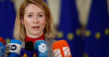 EU appears poised to sanction Iran's Revolutionary Guard over protest crackdown