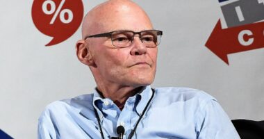 Election guru predicts shocking midterms 'wipeout'