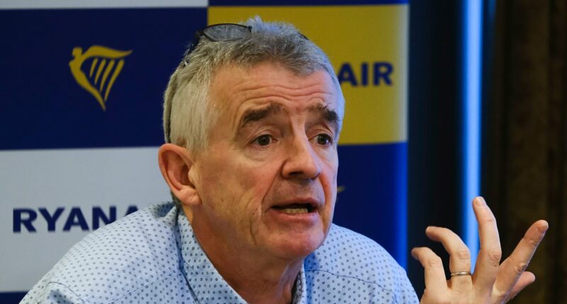 Elon Musk and Ryanair CEO row over Starlink Wi-Fi