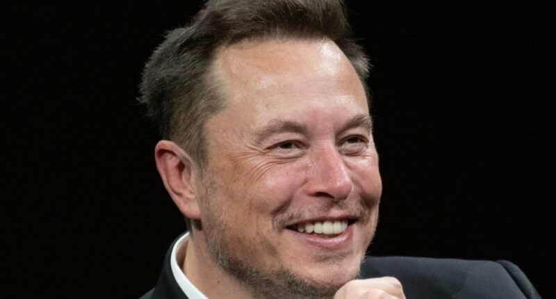 Elon Musk threatens to buy Ryanair and 'put a man called "Ryan" in charge' amid feud with Michael O'Leary - after budget airline refused to install his Starlink system on its planes