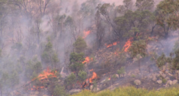 Residents around the Longwood area were urged to take immediate shelter.
