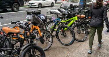 Ending the vicious cycle by licensing e-bikes