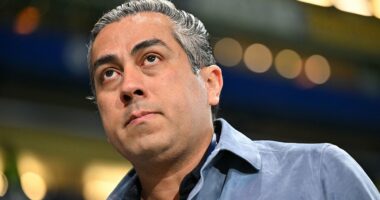 Enzo Maresca is a man of little charm or charisma but here's how Behdad Eghbali and the suits cause the real damage at Chelsea, writes OLIVER HOLT