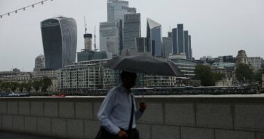 Equity lessons for Britain: Labour must look at the US to see the benefits of dynamic listed firms, says ALEX BRUMMER