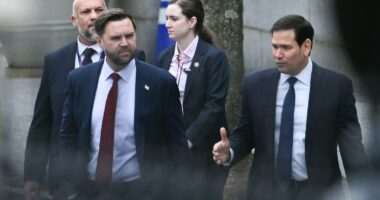 European diplomats reveal 'tough guy' US negotiator who 'hates' them