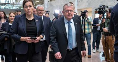 European troops arrive in Greenland as talks with US highlight 'disagreement' over island's future