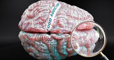 Exactly what weight-loss jabs like Mounjaro do to your brain: As experts say they're concerned about those who come off the drugs, new 'brain wave slowing' research revealed