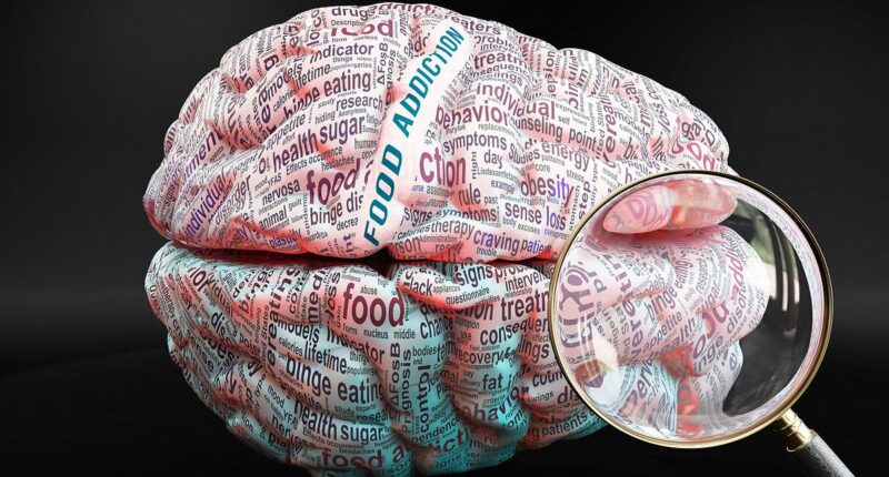 Exactly what weight-loss jabs like Mounjaro do to your brain: As experts say they're concerned about those who come off the drugs, new 'brain wave slowing' research revealed