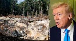 Expert warns of 'extreme violence' in Venezuelan mining as Trump admin eyes mineral reserves