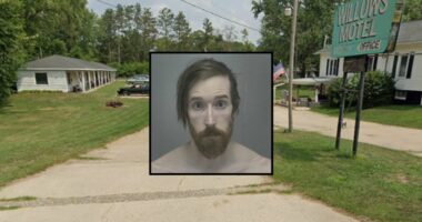 'Extreme frustration, hatred and anger': Man caught with blood on his hands stabbed elderly father 26 times, nearly severed ear and stole his classic car, cops say