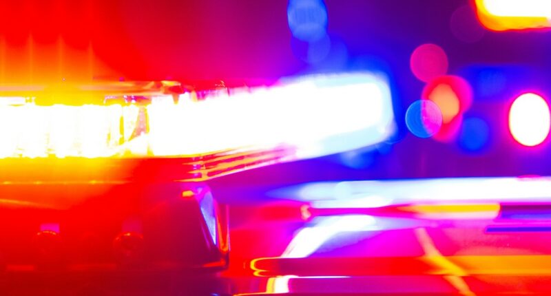 FBI says alleged New Year's Eve terrorist plot in North Carolina stopped, teen arrested