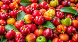 FORGET ORANGES: Will this ‘superfruit’ be the next big thing in Florida?