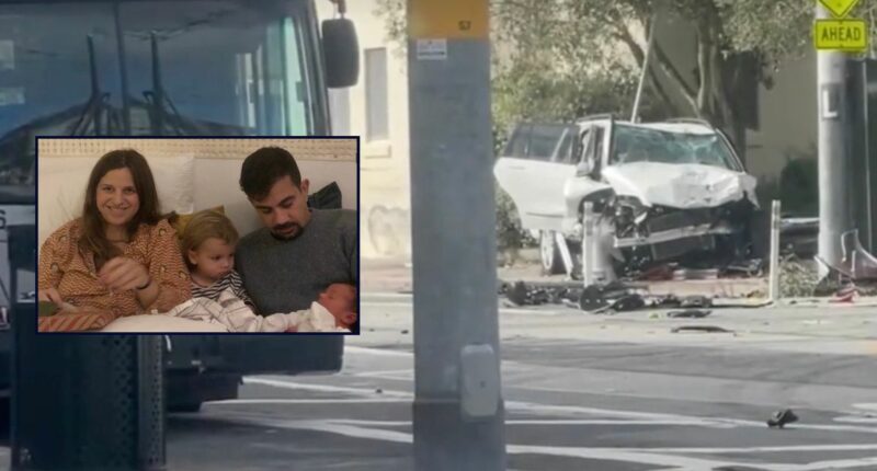 Family of 4 waiting for bus to the zoo killed by 80-year-old Mercedes driver who wants misdemeanor charges, lawyers say
