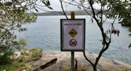 Family of hero boy who saved friend from shark attack break silence