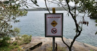 Family of hero boy who saved friend from shark attack break silence