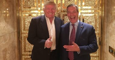 Farage cosied up to Trump. I doubt that he would stand up to tyrants