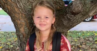 FedEx driver claims hes autistic and shouldn't be excited for murder