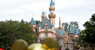 Fight breaks out in line for Indiana Jones ride at Disneyland, police say
