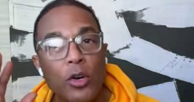 Fired former CNN star Don Lemon boasts he was the 'biggest name' at anti-ICE church protest that could see him face federal charges