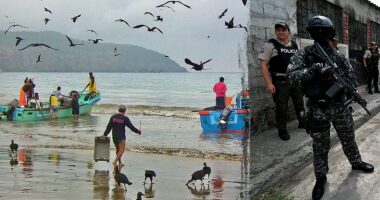 Five severed heads found hanging on Ecuador beach amid escalating gang clashes