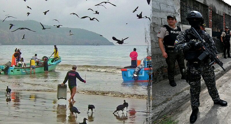 Five severed heads found hanging on Ecuador beach amid escalating gang clashes