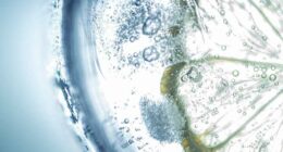 Florida SNAP ban eliminates these foods in 2026