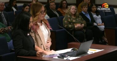Florida Senate committee unanimously approves bill on child protective investigations