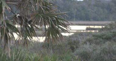 Florida bill takes aim at land swap rules after Guana River Preserve controversy