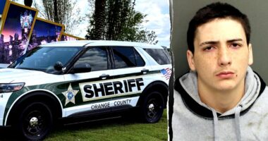 Florida man allegedly tells victim 'sorry ... I need to see my grandmother' during armed carjacking