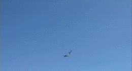 Florida paraglider survives 500-foot plunge into ocean